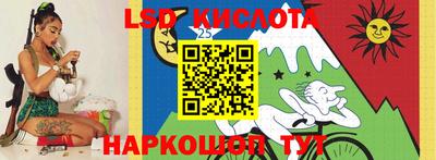 молекула духа Донской