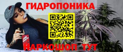 молекула духа Донской