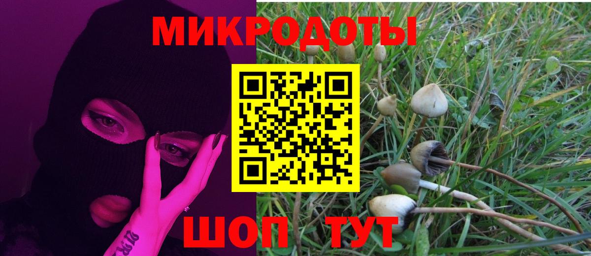 Псилоцибиновые грибы прущие грибы Нижний Тагил